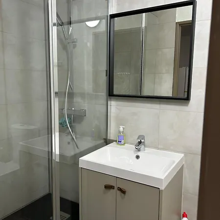 Louis Train Station- Euroairport- Basel 아파트