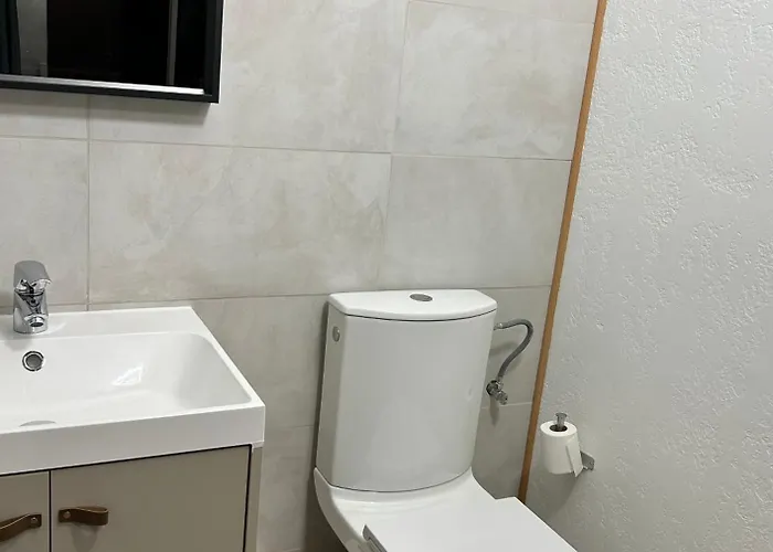 Louis Train Station- Euroairport- Basel Appartement