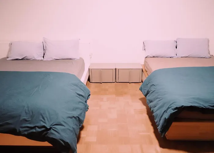 Louis Train Station- Euroairport- Basel Appartement